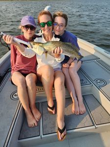 Spotted Weakfish, a 19-inch fish, caught while fishing in New Bern