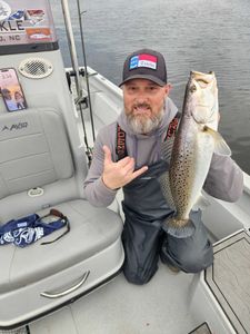 Spotted Weakfish caught in NC
