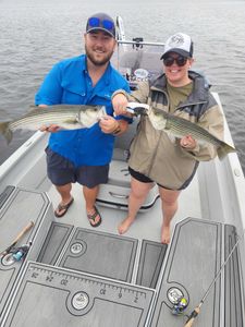Two striped bass caught while fishing in New Bern