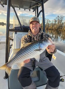 Striped bass caught while fishing in New Bern