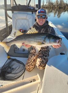 Striped bass, 27 inches, caught while fishing in New Bern