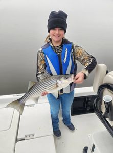 Striped bass caught while fishing in NC