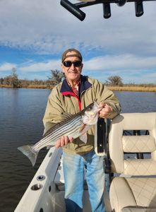 Striped bass caught by two people in New Bern