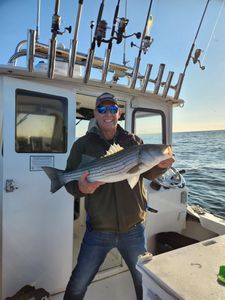 Clean striped bass catch at sunrise