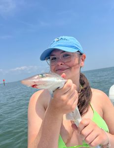 Trophy Sized Shark Captured In NJ  Waters