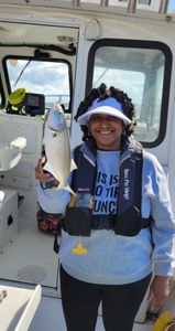 A bluefish caught while fishing in Brigantine