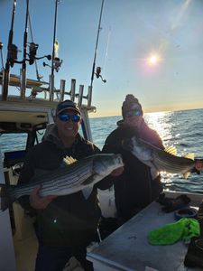 Two striped bass caught while fishing in Brigantine
