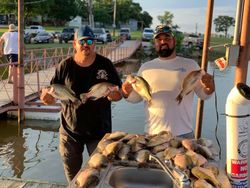 Crappie in Texas