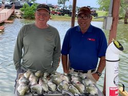 Crappie in Texas