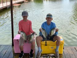 Crappie in Texas