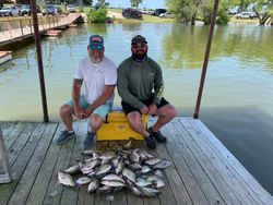 Crappie in Texas