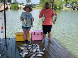 Crappie in Texas
