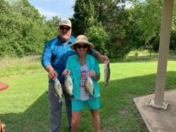 Crappie in Texas