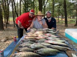 Crappie in Texas