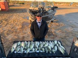 Crappie in Texas