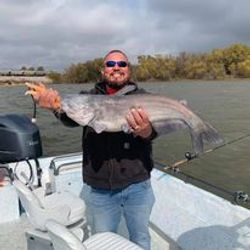 Gigantic Crappies await you in Lake Texoma!