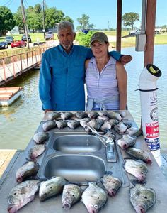 Crappie in Texas