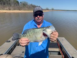 Angler catches a white crappie fish in TX