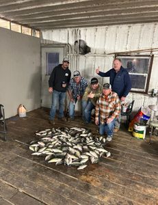 5 people fishing on the banks of a river in TX