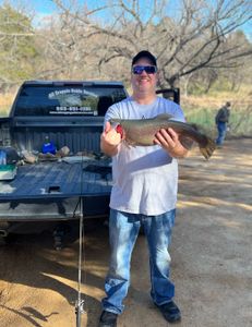 A single rainbow trout caught fishing in TX