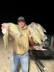 Crappie Fishing Adventures Await You