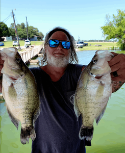 Two white crappie fish caught in Gordonville