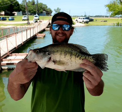 White crappie fish caught in TX