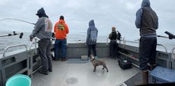 Fishing at Newport with the best gear