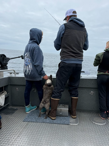 A scenic fishing spot in OR
