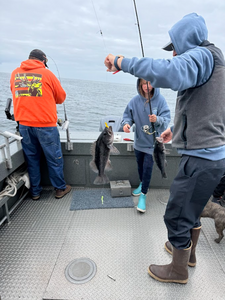 2 fishermen with big fish caught in Newport