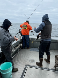 Angler fishing in Newport