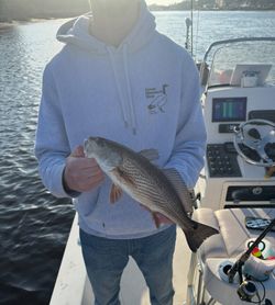 Redfish catch on fishing boat in North Myrtle Beach SC waters