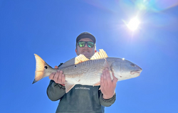 Redfish caught while fishing in SC