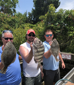 3 summer flounder and sheepshead fish caught in SC