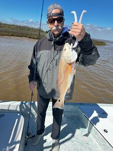 Redfish caught in Corpus Christi, Texas