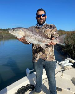 Redfish caught by angler in Charleston