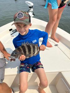 Sheepshead fish caught in Charleston, South Carolina