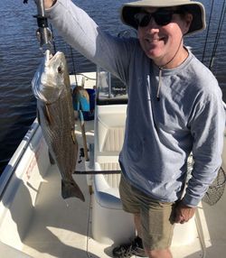 One person fishing with a line in SC
