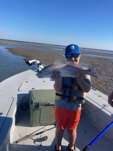Redfish catch displayed on fishing boat in Port Aransas TX shallow waters