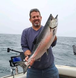 King Salmon in Lake Ontario