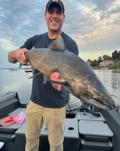 Lake Ontario delivers again.