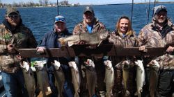 Lake Trout in Lake Ontario