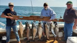 Salmon Fishing Charter in Lake Ontario