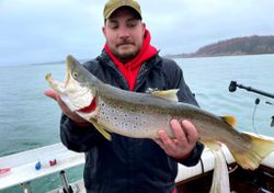 Lake Trout in Lake Ontario