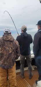 Fishing in New York