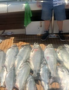 Seven fishing rods on the shore of a lake in NY