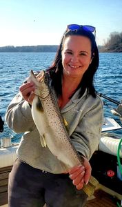 Rainbow trout caught while fishing at Sodus Point