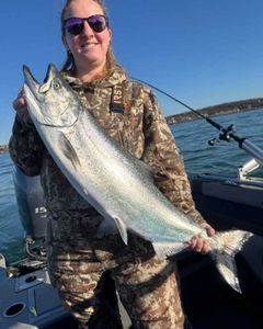 Chinook salmon, 23 inches, caught while fishing in Sodus Point