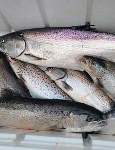 Two fish caught at Sodus Point