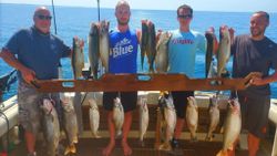 11 fish caught at Sodus Point during a fishing trip